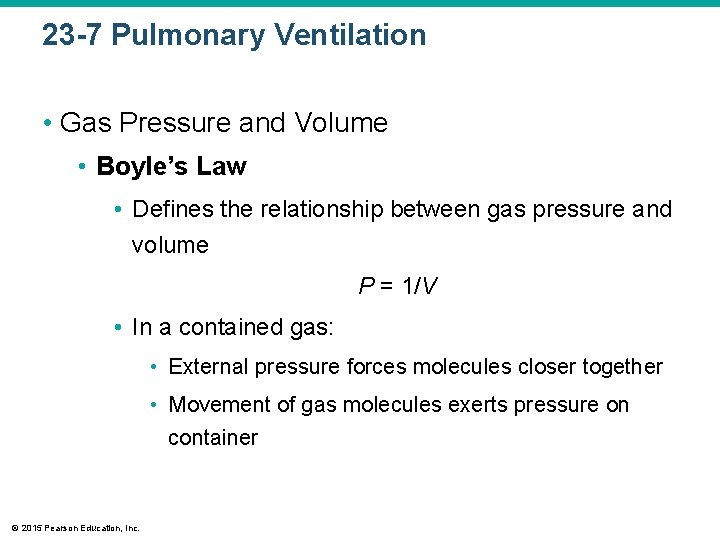 23 -7 Pulmonary Ventilation • Gas Pressure and Volume • Boyle’s Law • Defines