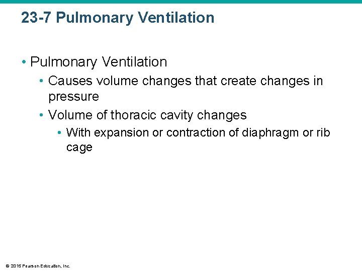 23 -7 Pulmonary Ventilation • Causes volume changes that create changes in pressure •