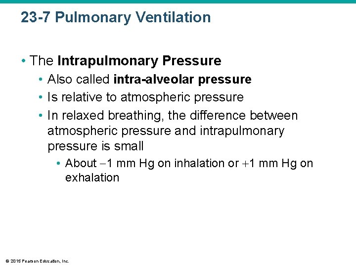23 -7 Pulmonary Ventilation • The Intrapulmonary Pressure • Also called intra-alveolar pressure •