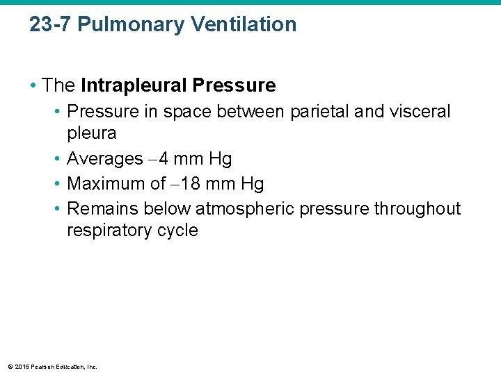23 -7 Pulmonary Ventilation • The Intrapleural Pressure • Pressure in space between parietal