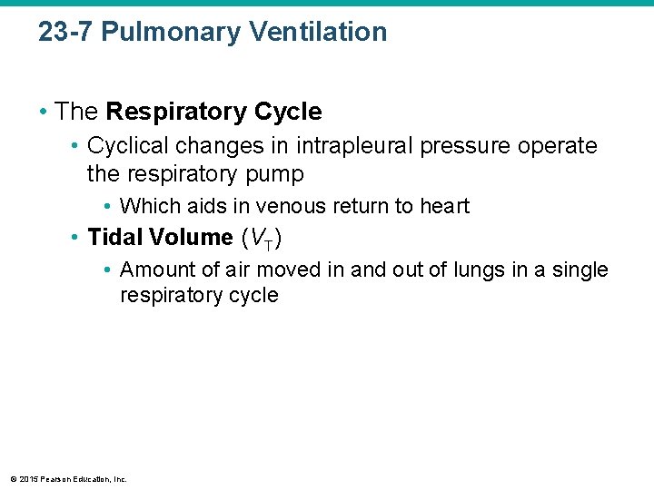 23 -7 Pulmonary Ventilation • The Respiratory Cycle • Cyclical changes in intrapleural pressure