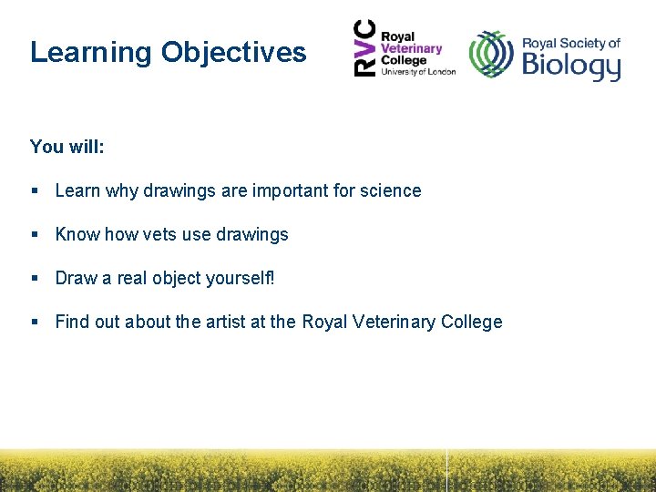 Learning Objectives You will: § Learn why drawings are important for science § Know