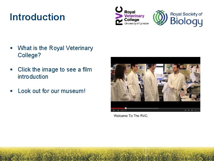 Introduction § What is the Royal Veterinary College? § Click the image to see