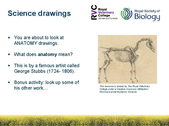 Science drawings § You are about to look at ANATOMY drawings. § What does