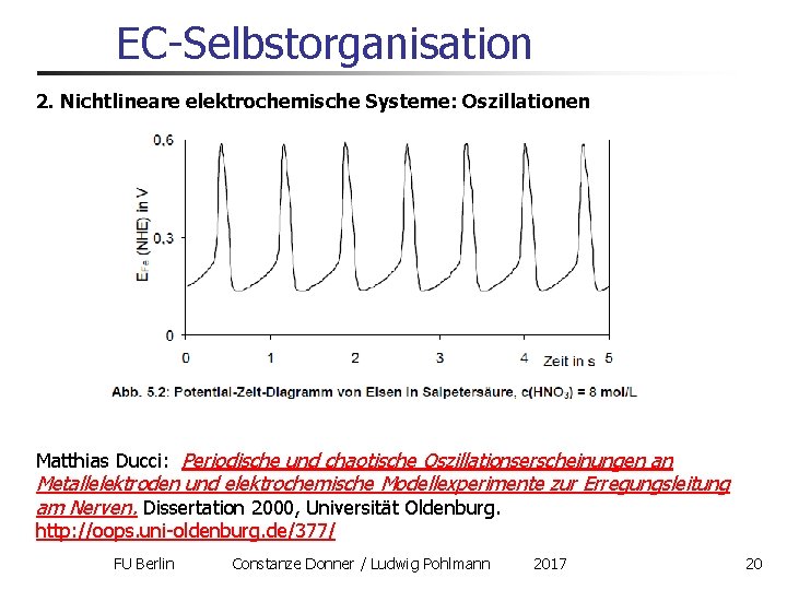 EC-Selbstorganisation 2. Nichtlineare elektrochemische Systeme: Oszillationen Matthias Ducci: Periodische und chaotische Oszillationserscheinungen an Metallelektroden