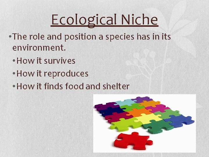 Ecological Niche • The role and position a species has in its environment. •