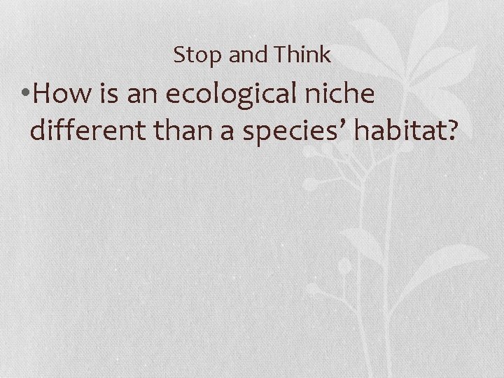 Stop and Think • How is an ecological niche different than a species’ habitat?