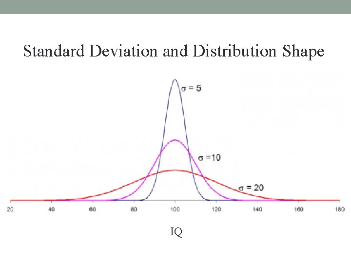 Standard Deviation and Distribution Shape IQ 