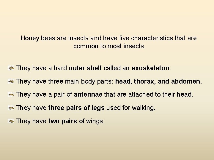 Honey bees are insects and have five characteristics that are common to most insects.