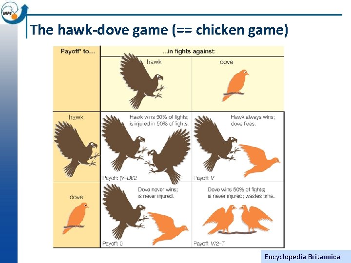 The hawk-dove game (== chicken game) Encyclopedia Britannica 