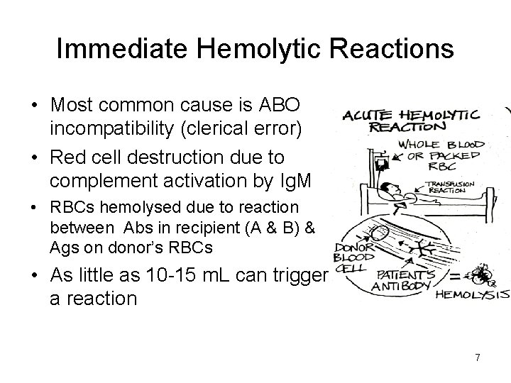 Immediate Hemolytic Reactions • Most common cause is ABO incompatibility (clerical error) • Red