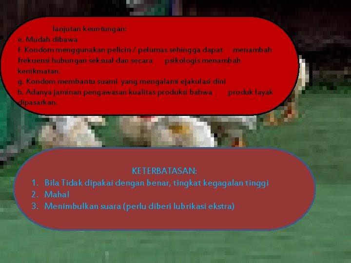 lanjutan keuntungan: e. Mudah dibawa f. Kondom menggunakan pelicin / pelumas sehingga dapat menambah