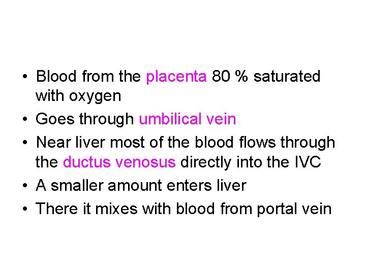  • Blood from the placenta 80 % saturated with oxygen • Goes through