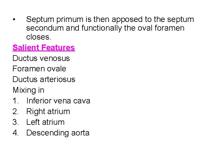  • Septum primum is then apposed to the septum secondum and functionally the