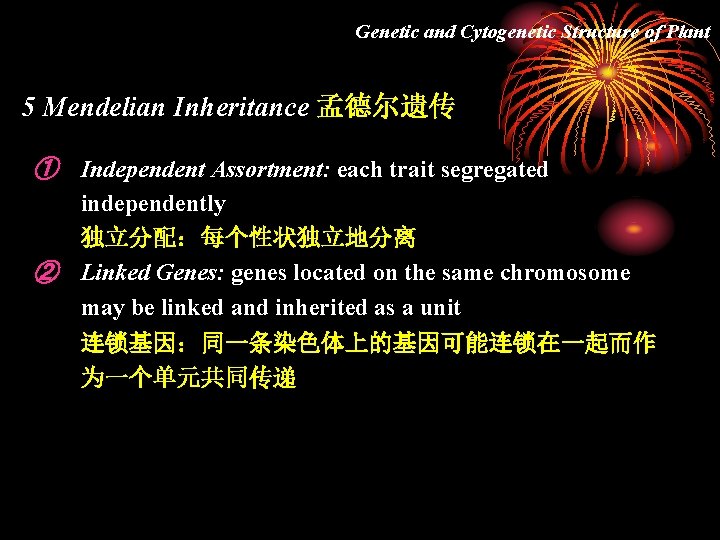 Genetic and Cytogenetic Structure of Plant 5 Mendelian Inheritance 孟德尔遗传 ① Independent Assortment: each