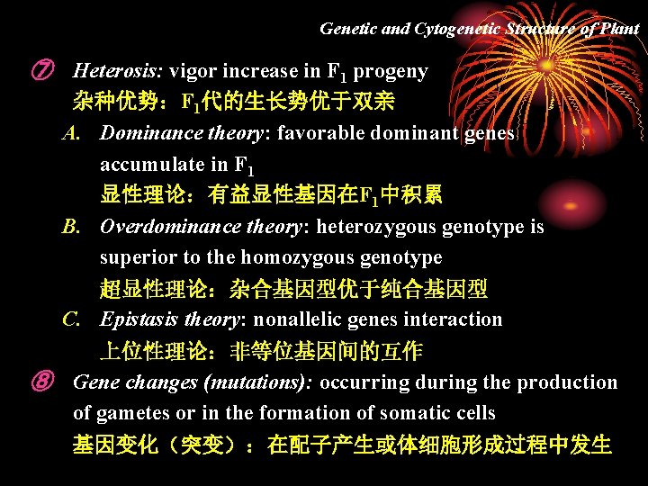Genetic and Cytogenetic Structure of Plant ⑦ Heterosis: vigor increase in F 1 progeny