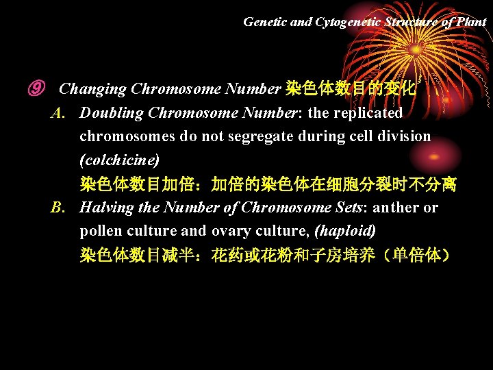 Genetic and Cytogenetic Structure of Plant ⑨ Changing Chromosome Number 染色体数目的变化 A. Doubling Chromosome