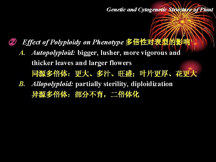 Genetic and Cytogenetic Structure of Plant ② Effect of Polyploidy on Phenotype 多倍性对表型的影响 A.
