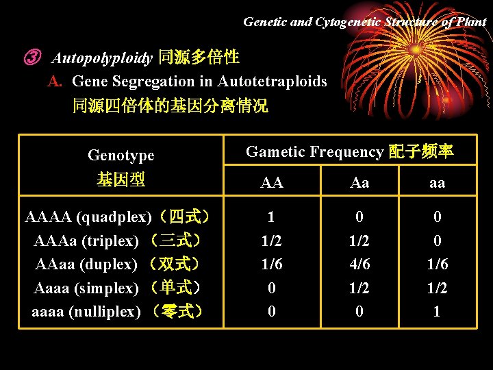 Genetic and Cytogenetic Structure of Plant ③ Autopolyploidy 同源多倍性 A. Gene Segregation in Autotetraploids