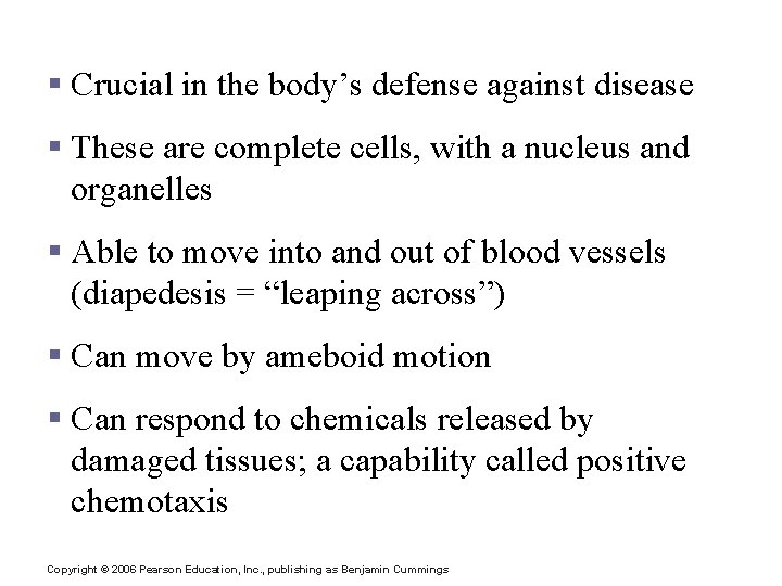 Leukocytes (White Blood Cells) § Crucial in the body’s defense against disease § These