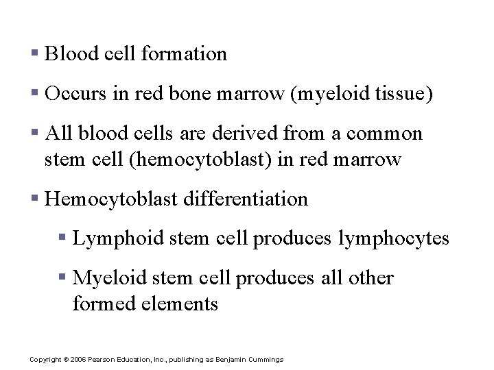 Hematopoiesis § Blood cell formation § Occurs in red bone marrow (myeloid tissue) §