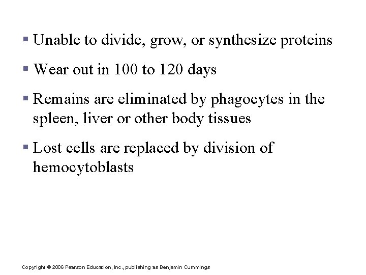 Fate of Erythrocytes § Unable to divide, grow, or synthesize proteins § Wear out