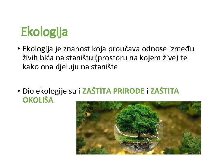 Ekologija • Ekologija je znanost koja proučava odnose između živih bića na staništu (prostoru