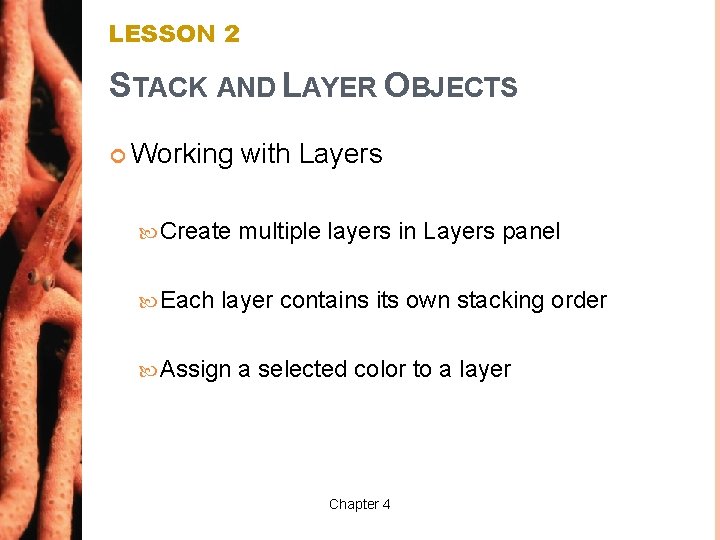 LESSON 2 STACK AND LAYER OBJECTS Working Create Each with Layers multiple layers in