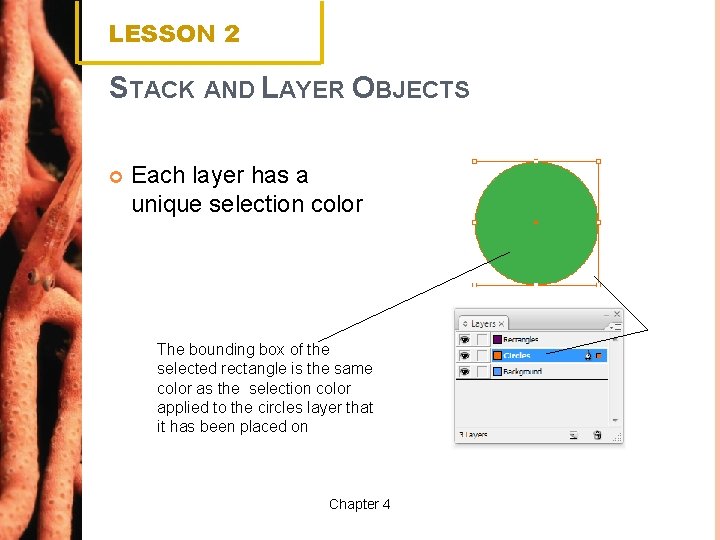 LESSON 2 STACK AND LAYER OBJECTS Each layer has a unique selection color The