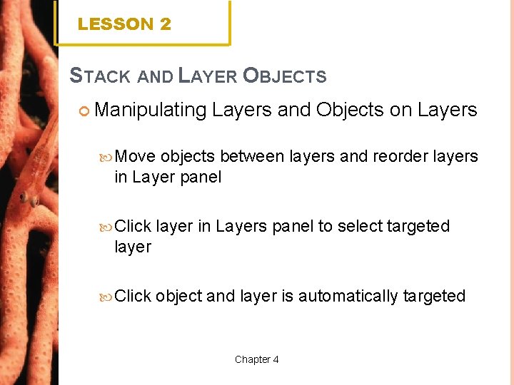 LESSON 2 STACK AND LAYER OBJECTS Manipulating Layers and Objects on Layers Move objects