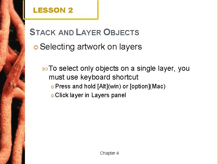 LESSON 2 STACK AND LAYER OBJECTS Selecting artwork on layers To select only objects