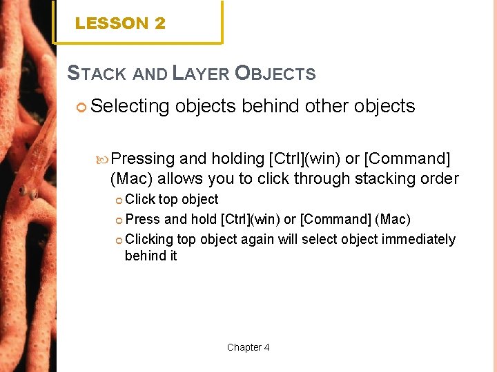 LESSON 2 STACK AND LAYER OBJECTS Selecting objects behind other objects Pressing and holding