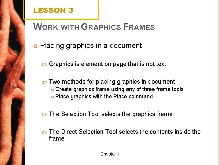 LESSON 3 WORK WITH GRAPHICS FRAMES Placing graphics in a document Graphics is element