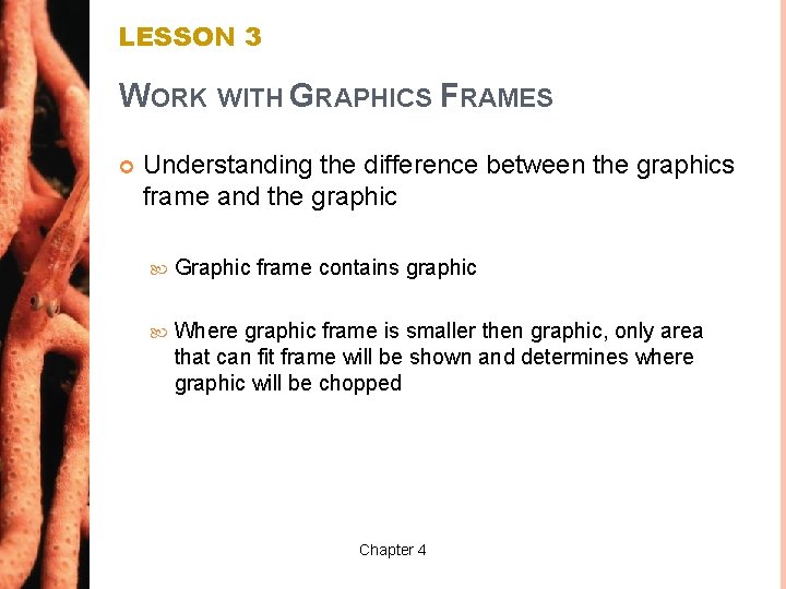 LESSON 3 WORK WITH GRAPHICS FRAMES Understanding the difference between the graphics frame and
