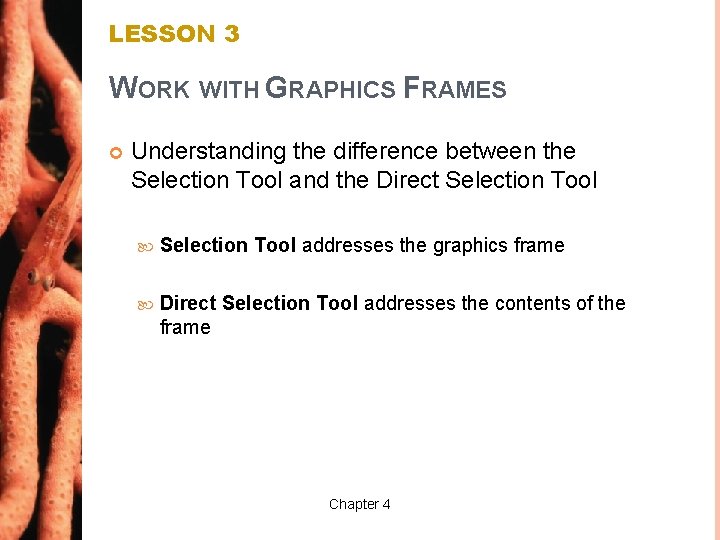 LESSON 3 WORK WITH GRAPHICS FRAMES Understanding the difference between the Selection Tool and