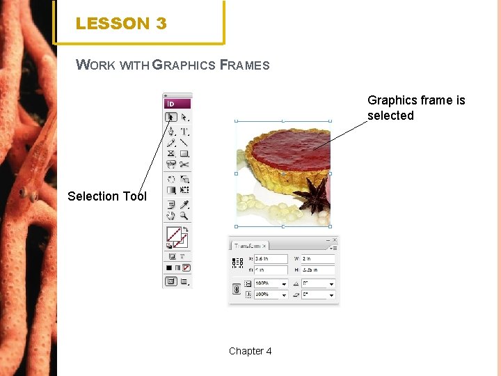 LESSON 3 WORK WITH GRAPHICS FRAMES Graphics frame is selected Selection Tool Chapter 4