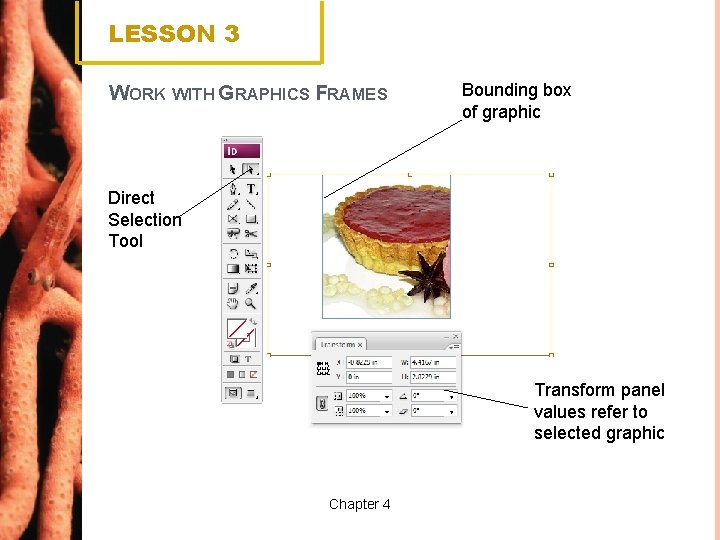 LESSON 3 WORK WITH GRAPHICS FRAMES Bounding box of graphic Direct Selection Tool Transform