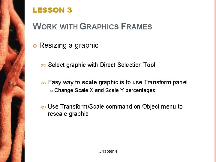 LESSON 3 WORK WITH GRAPHICS FRAMES Resizing a graphic Select graphic with Direct Selection