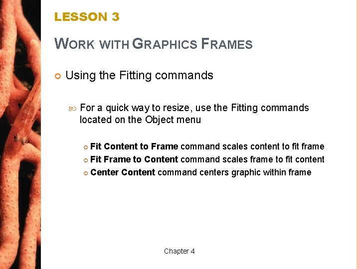 LESSON 3 WORK WITH GRAPHICS FRAMES Using the Fitting commands For a quick way