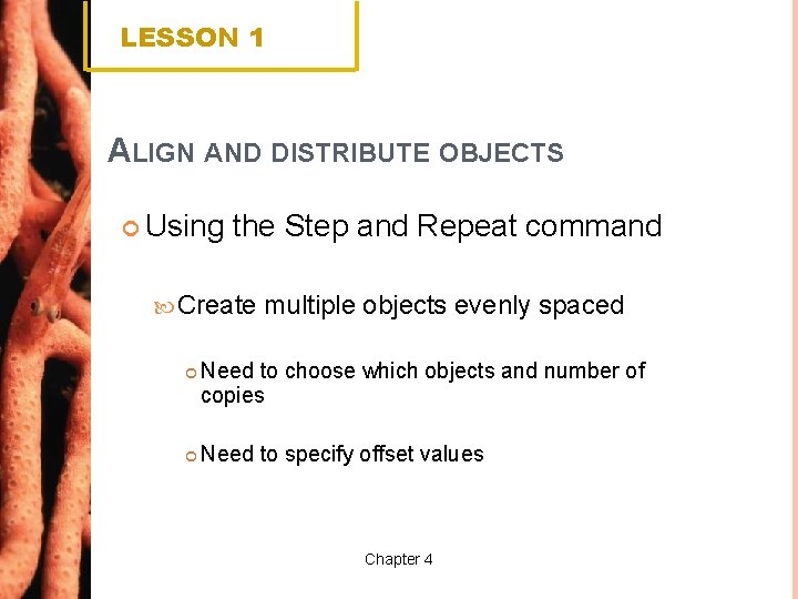 LESSON 1 ALIGN AND DISTRIBUTE OBJECTS Using the Step and Repeat command Create multiple