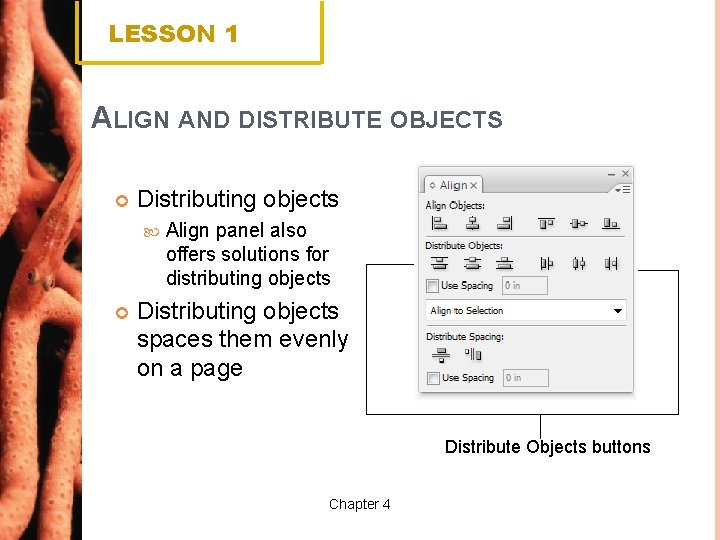 LESSON 1 ALIGN AND DISTRIBUTE OBJECTS Distributing objects Align panel also offers solutions for