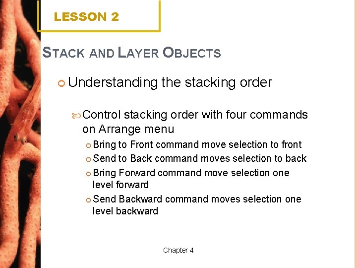 LESSON 2 STACK AND LAYER OBJECTS Understanding the stacking order Control stacking order with