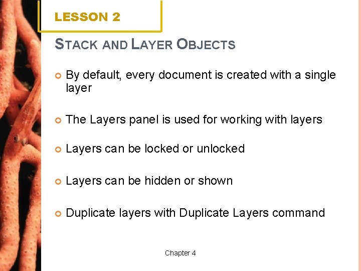 LESSON 2 STACK AND LAYER OBJECTS By default, every document is created with a