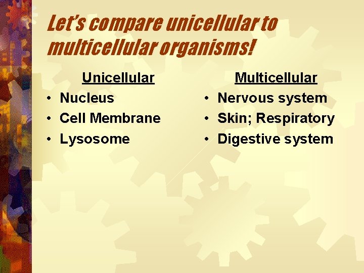 Let’s compare unicellular to multicellular organisms! • • • Unicellular Nucleus Cell Membrane Lysosome