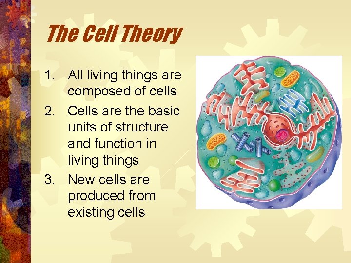The Cell Theory 1. All living things are composed of cells 2. Cells are