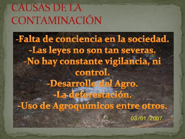 CAUSAS DE LA CONTAMINACIÓN -Falta de conciencia en la sociedad. -Las leyes no son