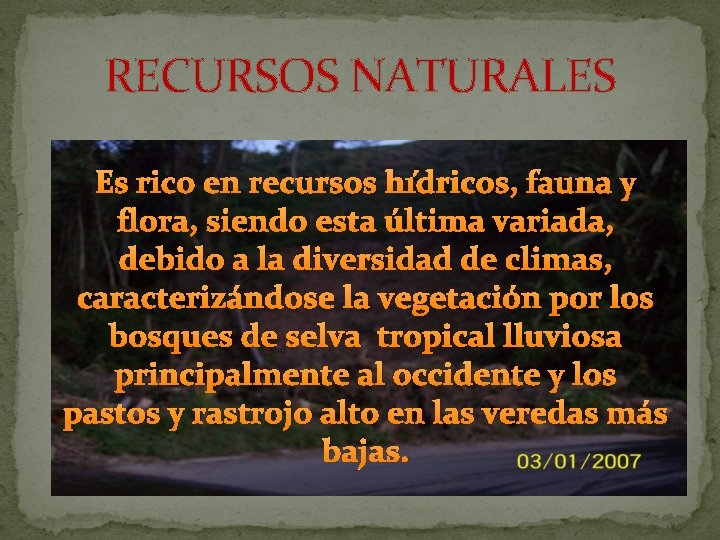 RECURSOS NATURALES Es rico en recursos hídricos, fauna y flora, siendo esta última variada,