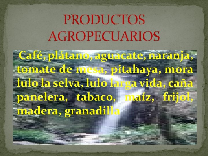 PRODUCTOS AGROPECUARIOS Café, plátano, aguacate, naranja, tomate de mesa, pitahaya, mora lulo la selva,