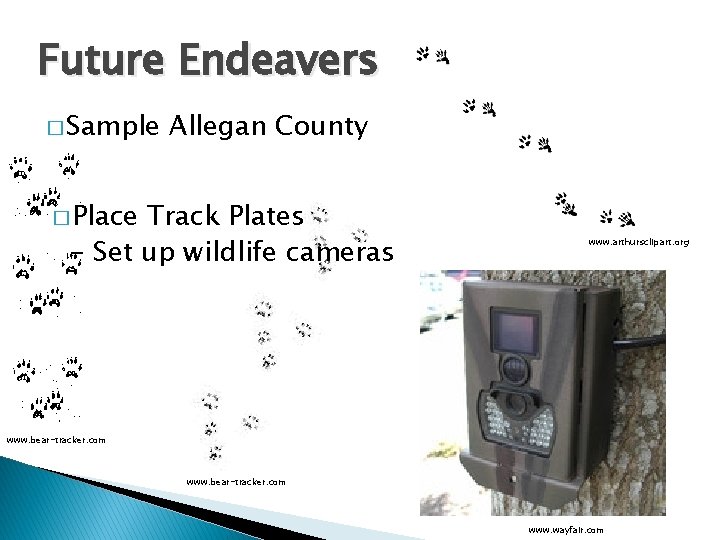 Future Endeavers � Sample Allegan County � Place Track Plates - Set up wildlife