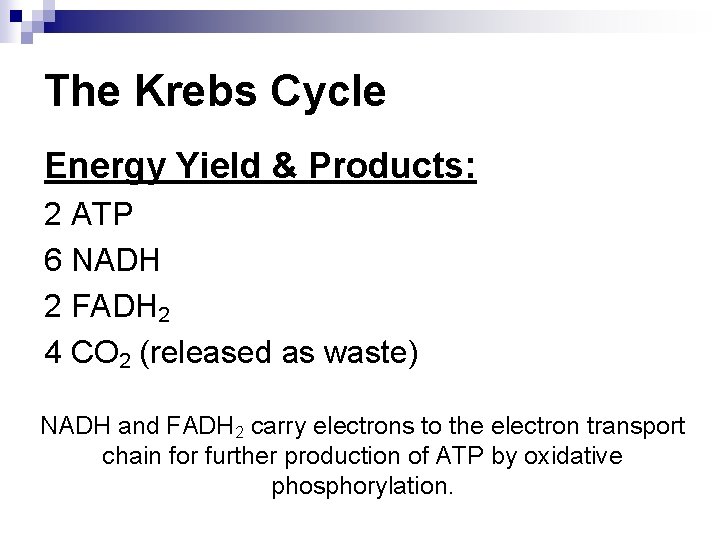The Krebs Cycle Energy Yield & Products: 2 ATP 6 NADH 2 FADH 2